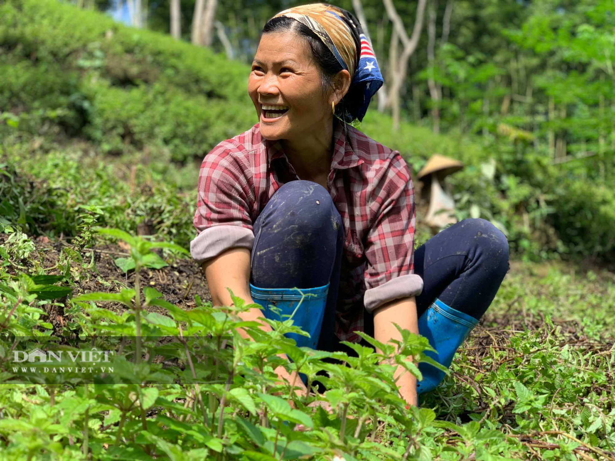 Chỉ cần có mưa, người nông dân sẽ 