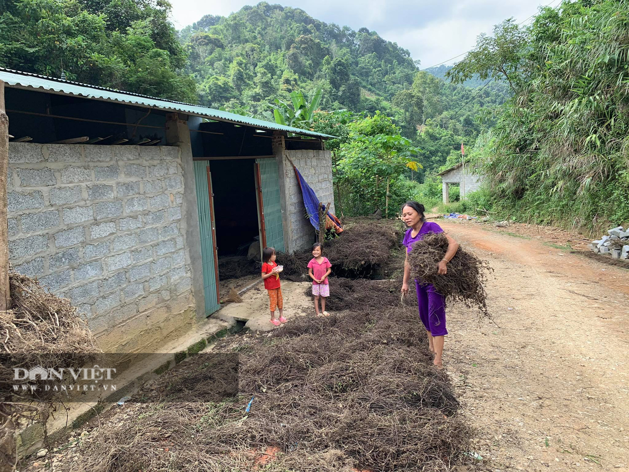 Chỉ cần có mưa, người nông dân sẽ 