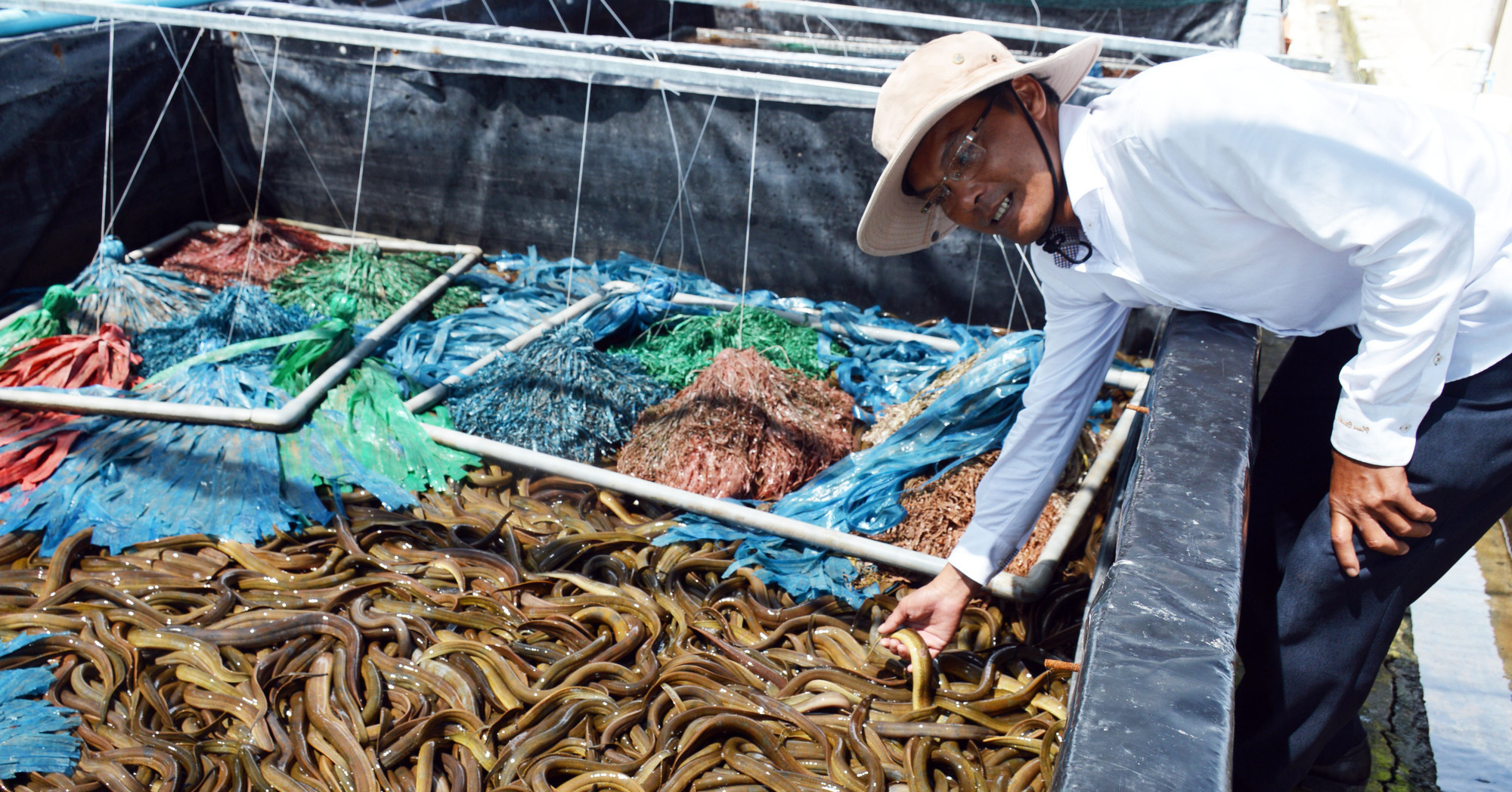 Tỷ phú nông dân tỉnh Bạc Liêu nuôi lươn không bùn công nghệ cao, 1 năm bắt bán 30 tấn, lời 2,5 tỷ đồng