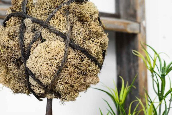 Các thói quen “mất vệ sinh” thời Trung Cổ khiến bạn khóc thét - Ảnh 9.