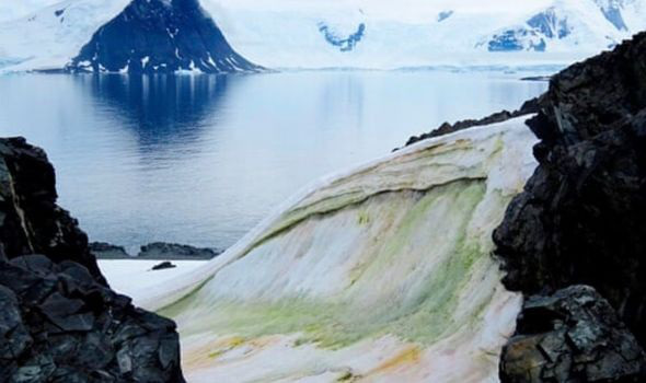 Băng tuyết Nam cực chuyển màu xanh, lời cảnh báo sốc cho nhân loại - Ảnh 1.