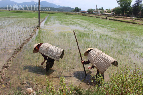 Vật dụng giúp nông dân chống lại nắng nóng gay gắt khi ra đồng - Ảnh 5.
