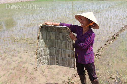 Vật dụng giúp nông dân chống lại nắng nóng gay gắt khi ra đồng - Ảnh 3.