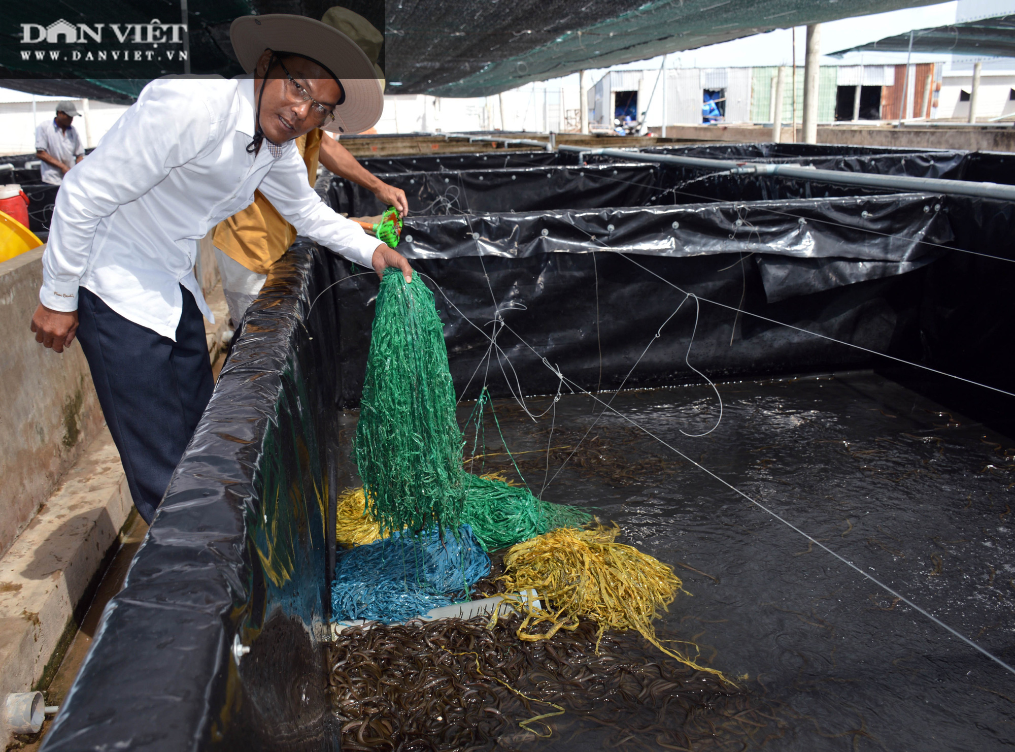Chàng tỷ phú nông dân nuôi lươn không bùn công nghệ cao, thu lãi 40-50%/vụ - Ảnh 3.