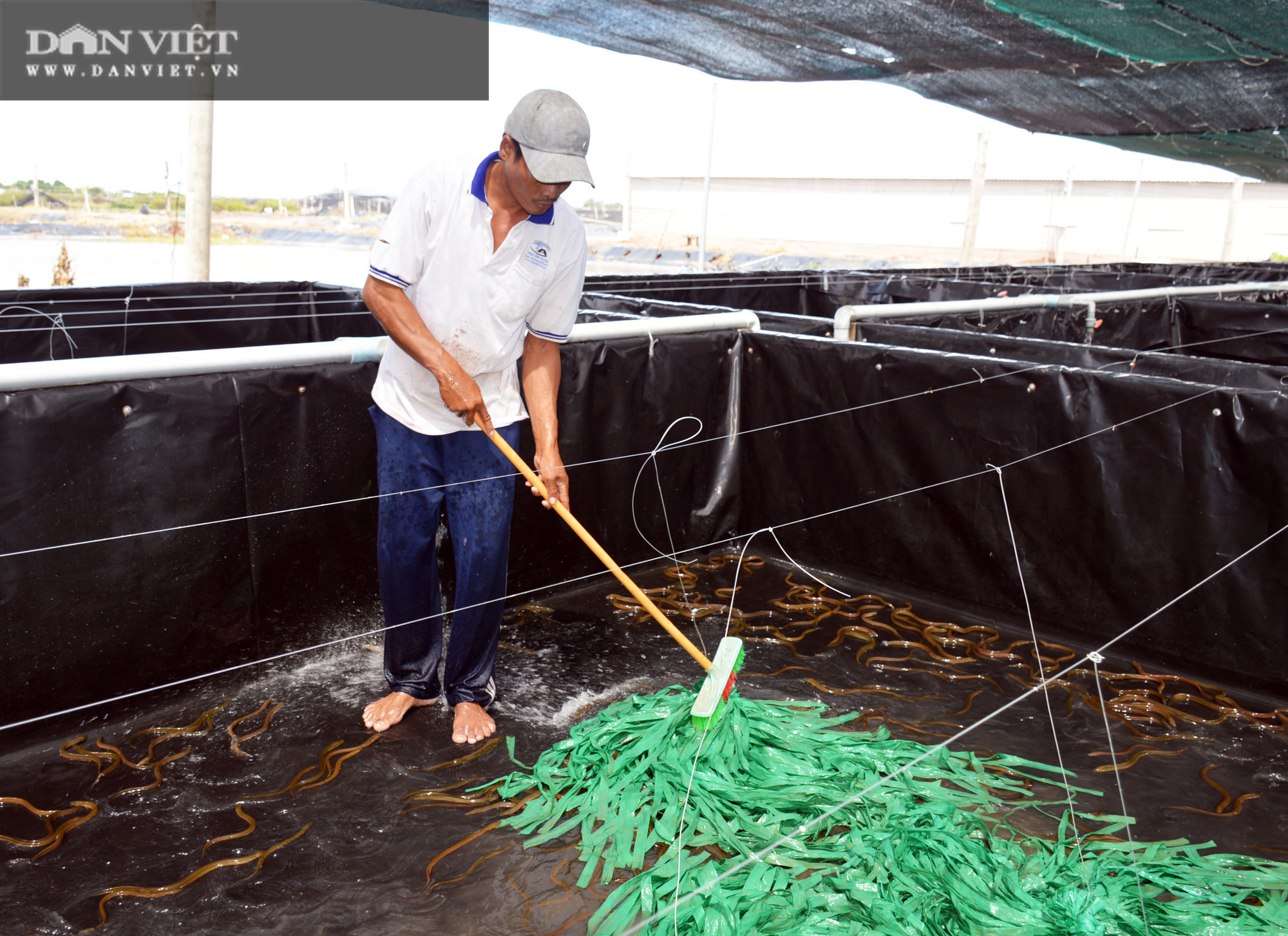 Chàng tỷ phú nông dân nuôi lươn không bùn công nghệ cao, thu lãi 40-50%/vụ - Ảnh 4.
