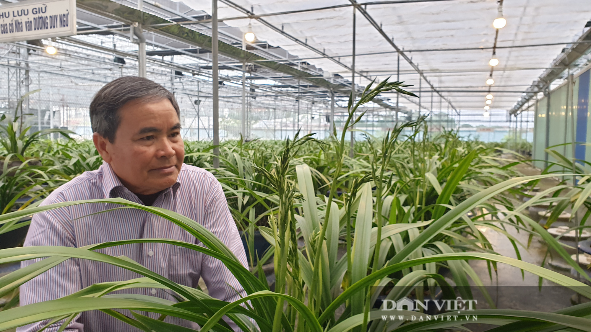 Nam Định: Địa lan quý giá chục triệu mỗi chậu, sợ hết, khách đến tận vườn ghi tên đánh dấu - Ảnh 7.