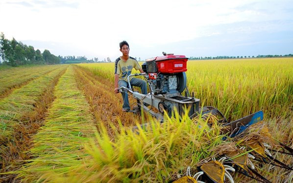 Năm 2021, chuyển nhượng đất nông nghiệp có phải nộp thuế thu nhập cá nhân?