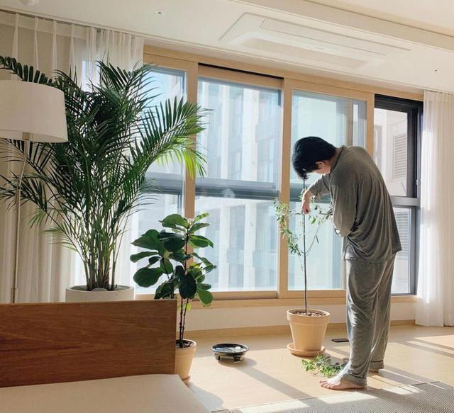 Ngôi nhà sạch tinh tươm, không tì vết của vợ chồng người Hàn Quốc - Ảnh 4.