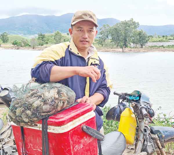 Loài cá sông đặc sản ở Gia Lai, có con nặng tới 5 ký, dân mà bắt được đến nhà giàu cũng "săn lùng" - Ảnh 5.