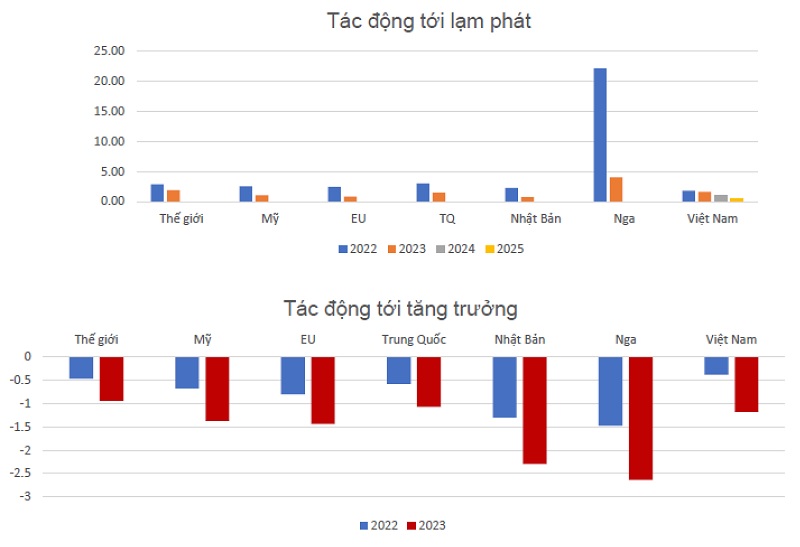 COVID-19 and the Russia-Ukraine war affect both the world and Vietnam (source: VEPR)