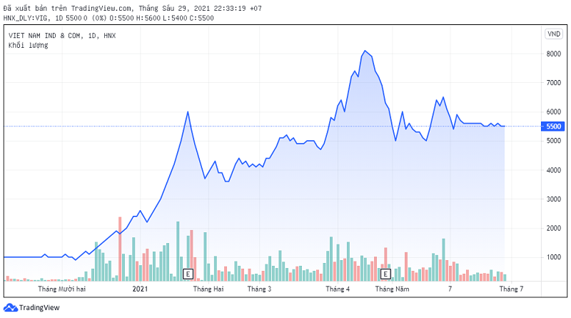 Trong 6 tháng đầu năm, cổ phiếu VIG đã tăng trưởng hơn 500%.