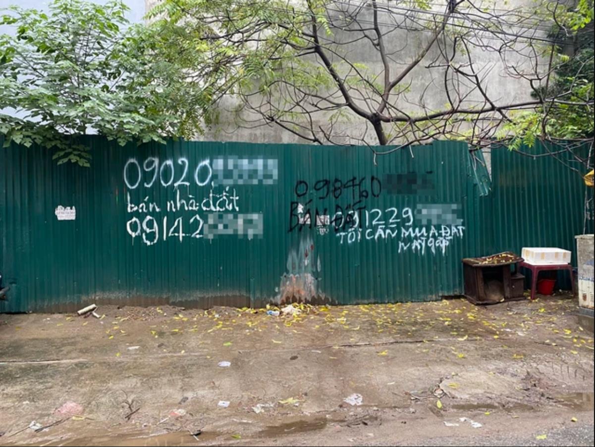 Thực tế, tại một số thửa đất vừa đấu giá, thông tin rao bán đã xuất hiện nhưng vẫn chưa