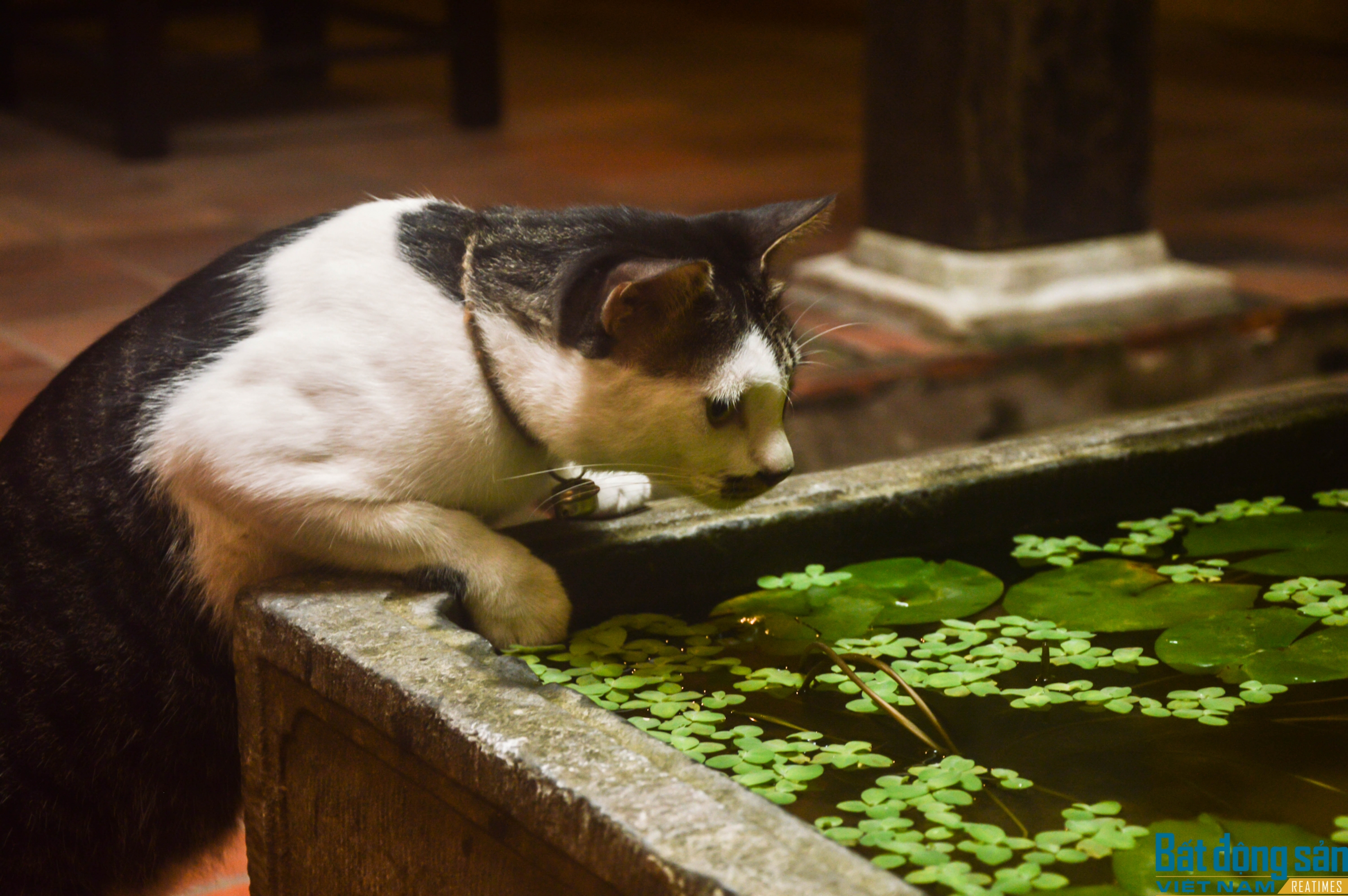 lac vao khong gian hoai niem the ky xix trong ngoi nha giua long pho co