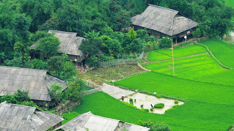Vietnam terraced fields in the pouring-water season