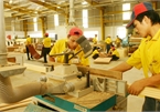 Vietnam, a rising star in wood exports