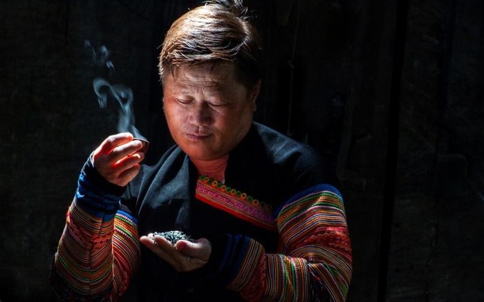 A man dedicates to producing ancient Shan Tuyet tea