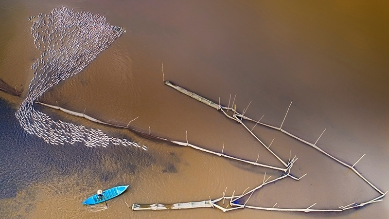 Poetic scene in Mekong River Delta in “floating season”