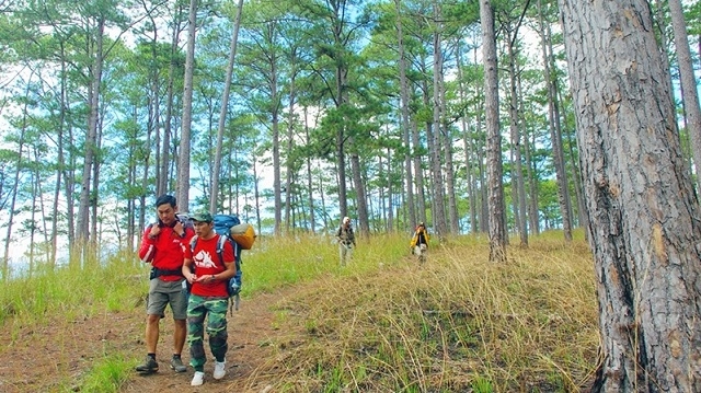 Exploring Bidoup - Nui Ba National Park in Lam Dong province