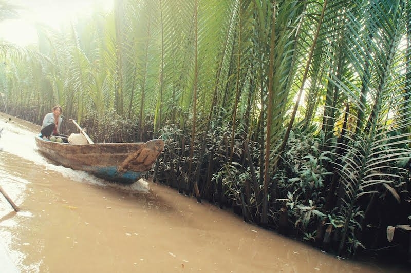 Two green oases on Tien River