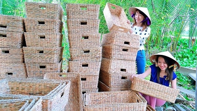 The craft of weaving water hyacinth in Bac Lieu