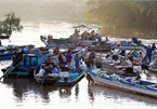Phong Dien floating market: An interesting stop for visitors to Mekong Delta