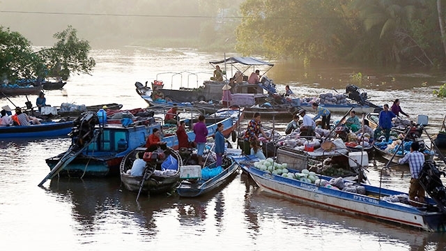 Phong Dien floating market: An interesting stop for visitors to Mekong Delta