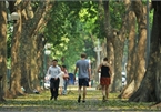 Hanoi vibrant in leaf changing season