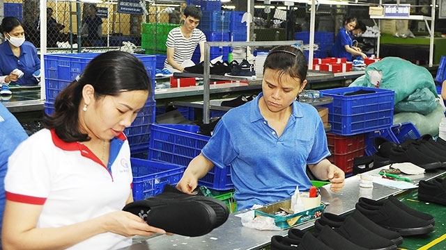 Vietnamese businesses ready to be connected with “avenue” EVFTA