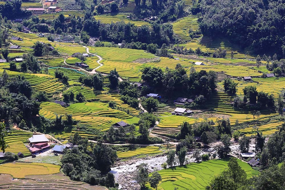 Summer time in Ta Van - Lao Chai valley wows travellers