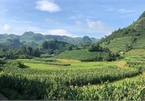 Sunlit valleys in Bac Ha town