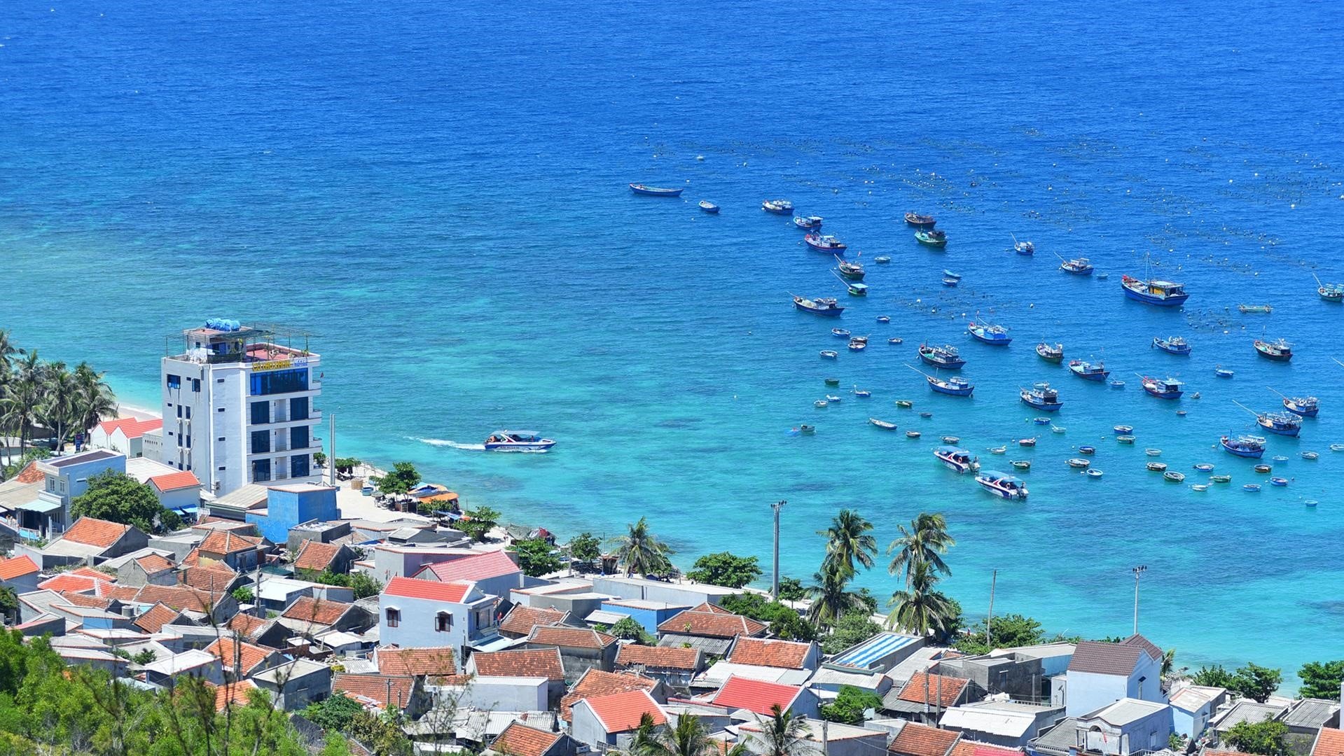 Beautiful and peaceful Cu Lao Xanh island
