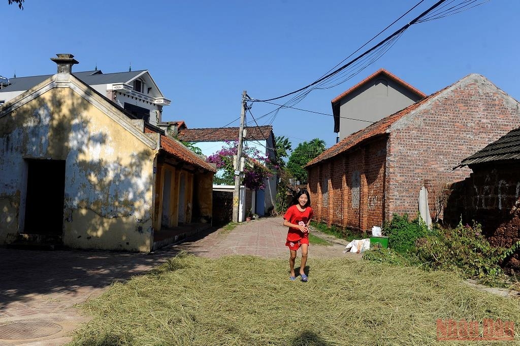 Village roads filled with postharvest straw