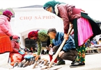 The unique "backward" market in Sa Phin Commune, Ha Giang Province