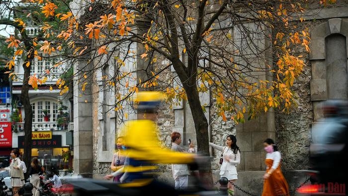 Poetic Hanoi in leaf changing season