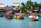 The Nipa Palm Forest In Hoi An