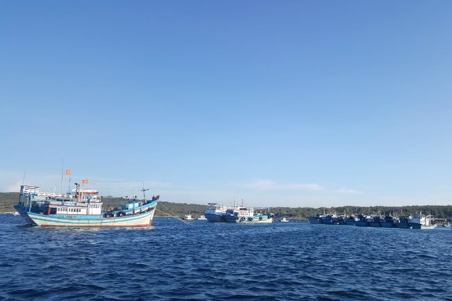 A trip to the pristine Phu Quy Island