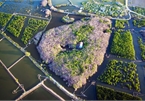 Ru Cha mangroves forest in autumn