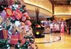 Hotels light up Christmas trees for a wonderful festive season
