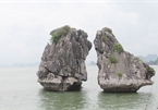 Halong Bay to reopen after seven-week shutdown