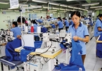 Vietnam apparel firms won't see instant benefits from EVFTA