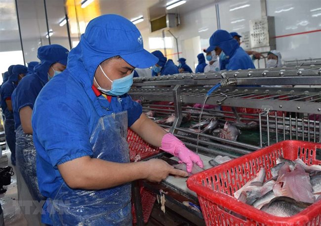 VASEP decries taxes on semi-processed and processed seafood