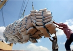 Over 200 traders licensed to export rice