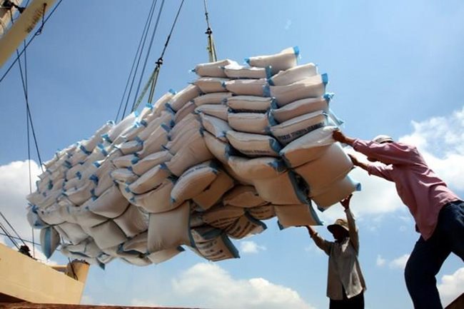 Over 200 traders licensed to export rice