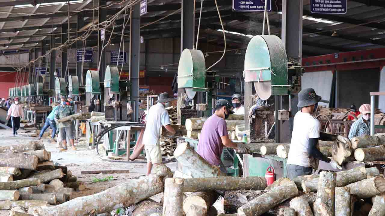 VIETNAM BUSINESS NEWS NOVEMBER 18