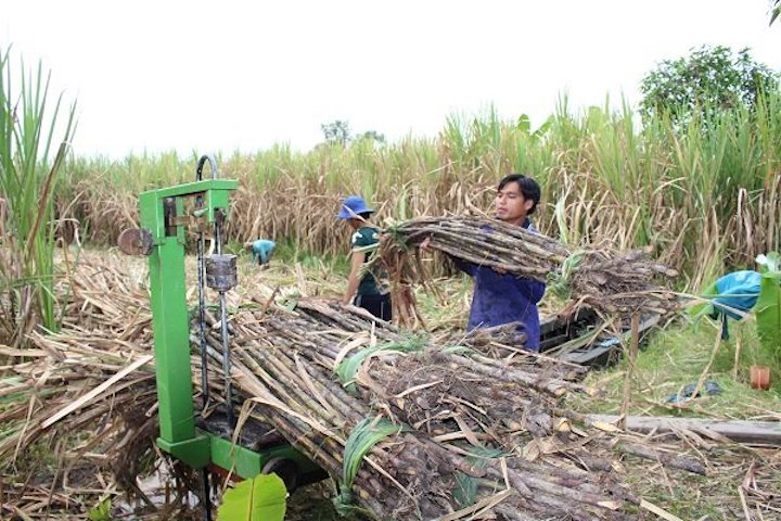 Ministry extends probe into Thai sugar’s evasion of trade remedies by two months