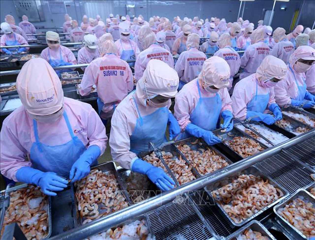 Shrimp exports to U.S. exceed US$1 billion in 2021