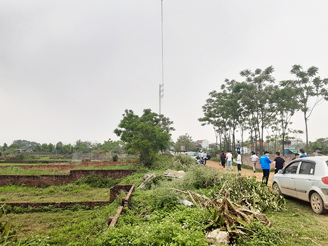 Truyện Đơn Phương Một Tình Yêu