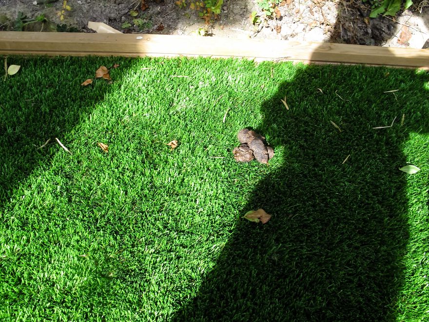 Nhiếp ảnh dễ thương: Nhìn Thế giới qua ống kính của cậu bé 19 tháng tuổi - Ảnh 12.