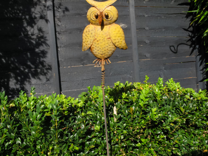 Nhiếp ảnh dễ thương: Nhìn Thế giới qua ống kính của cậu bé 19 tháng tuổi - Ảnh 13.