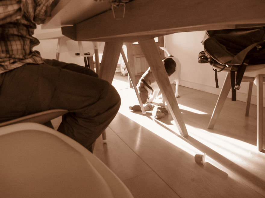 Nhiếp ảnh dễ thương: Nhìn Thế giới qua ống kính của cậu bé 19 tháng tuổi - Ảnh 18.